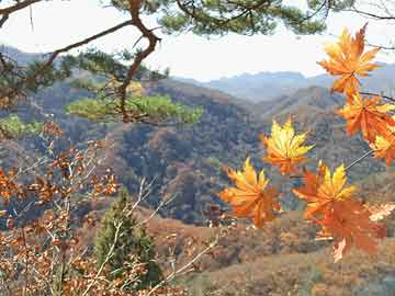 长白山温泉假日酒店：长白山温泉假日酒店到中朝边境界碑